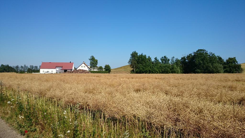 Bed & Breakfast Vinkille Loderup Bagian luar foto