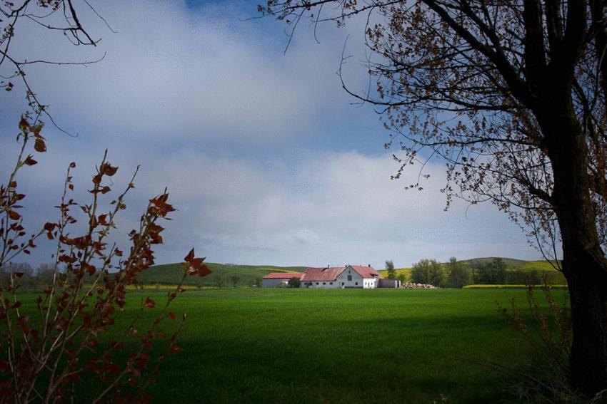 Bed & Breakfast Vinkille Loderup Bagian luar foto